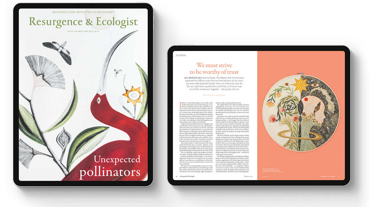 Resurgence & Ecologist magazine displayed on an iPad