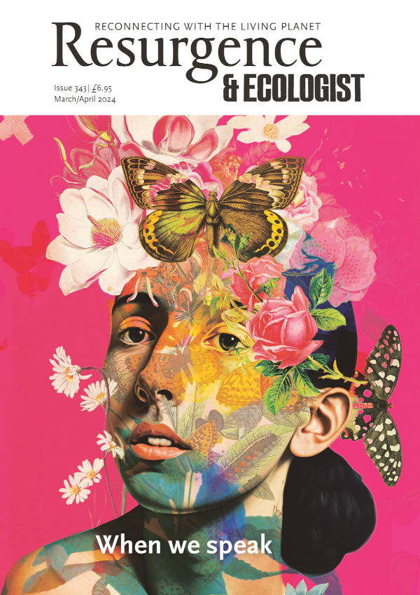 Resurgence & Ecologist current issue cover