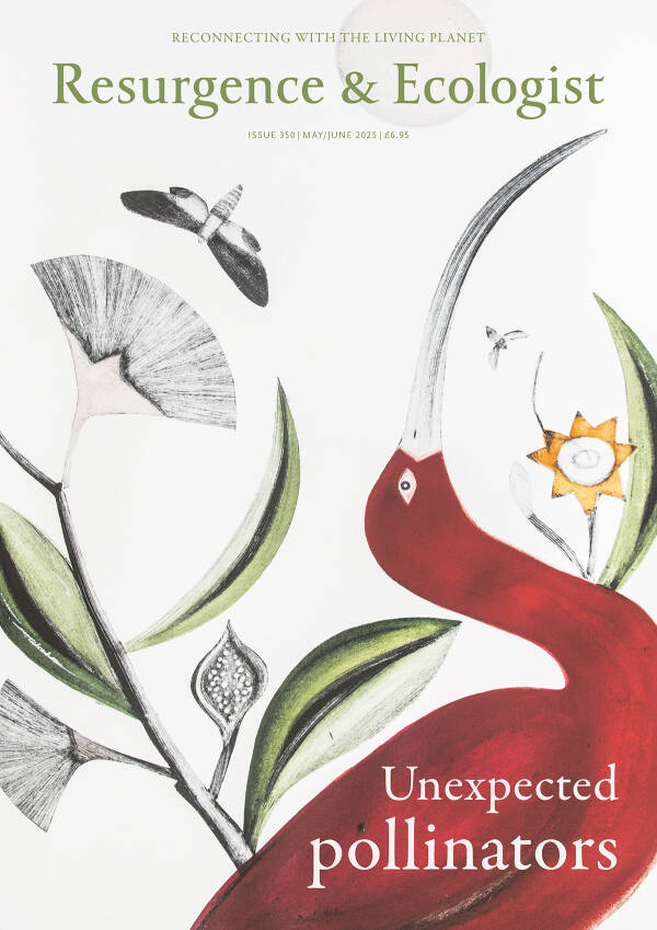 Cover of Resurgence & Ecologist magazine, issue 350