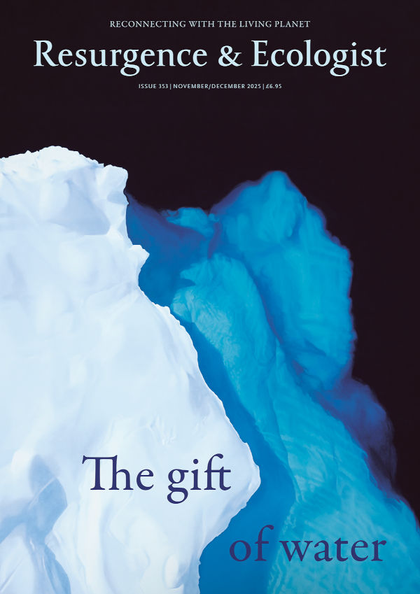 Resurgence & Ecologist issue 353 cover