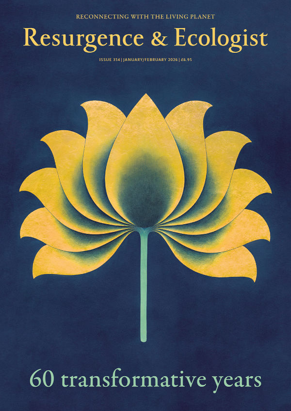 Resurgence & Ecologist issue 354 cover