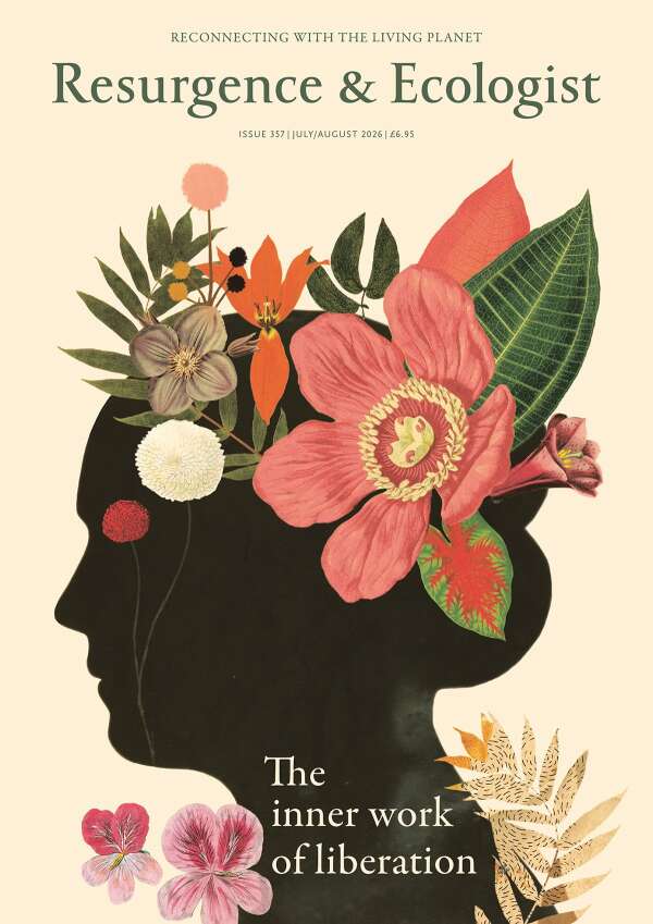 Cover of Resurgence & Ecologist magazine issue 357