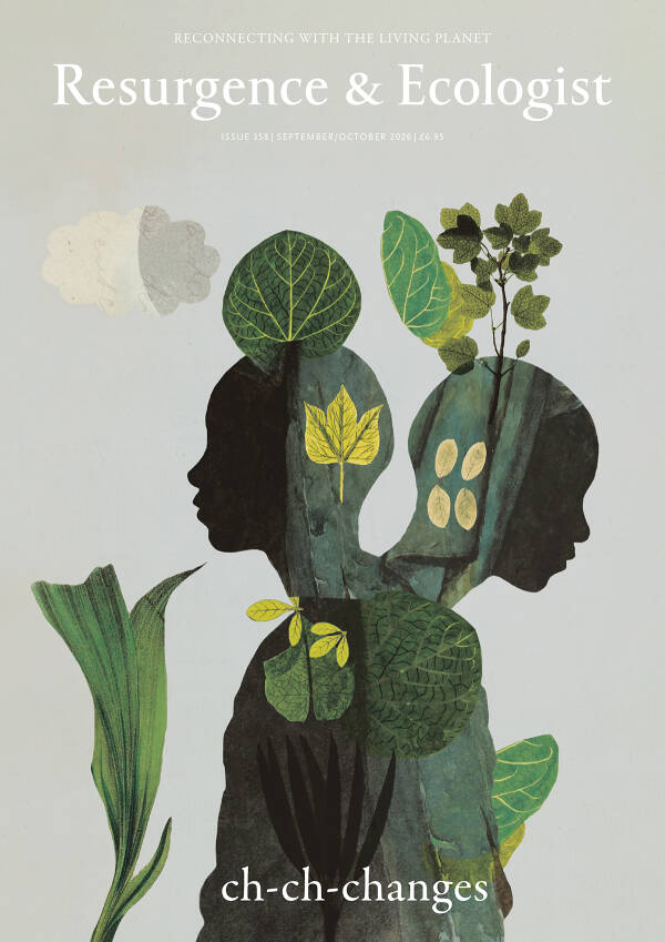 Cover of Resurgence & Ecologist issue 358