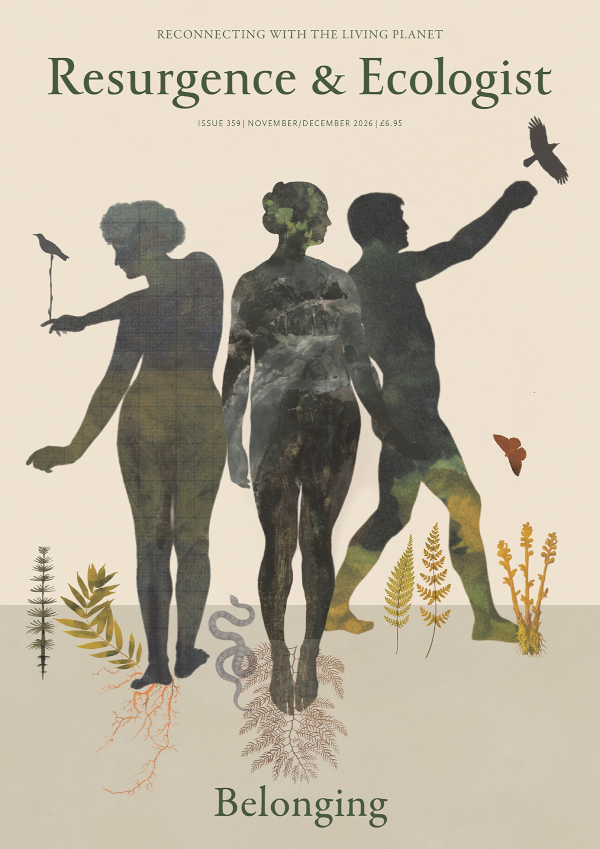 Cover of Resurgence & Ecologist issue 359