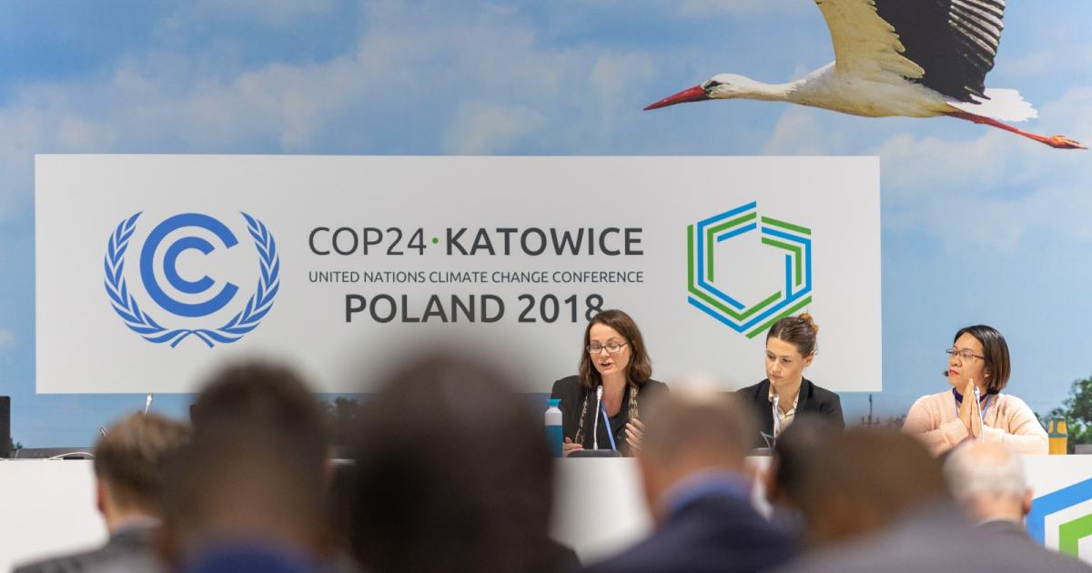 photo of Irreverent musings from COP24 image
