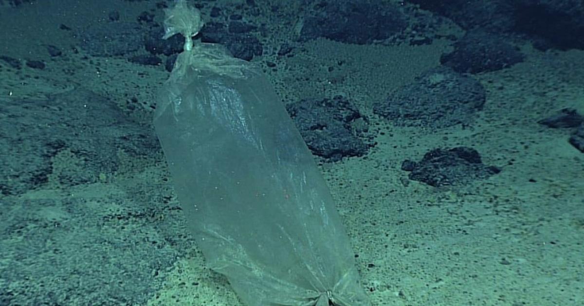 Plastic At The Bottom Of Mariana Trench