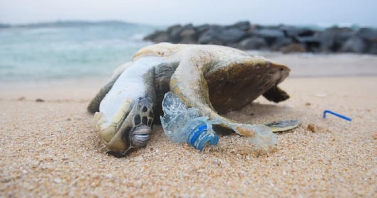 Satellites can identify ocean plastic pollution