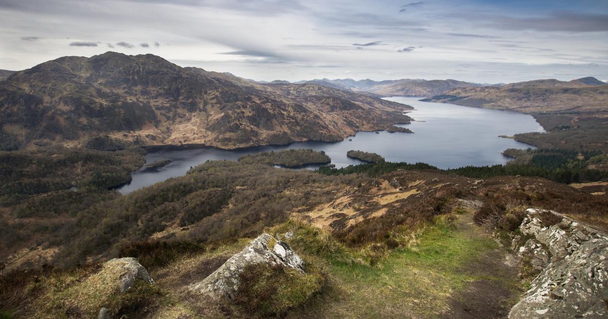 Defining and renovating our forests