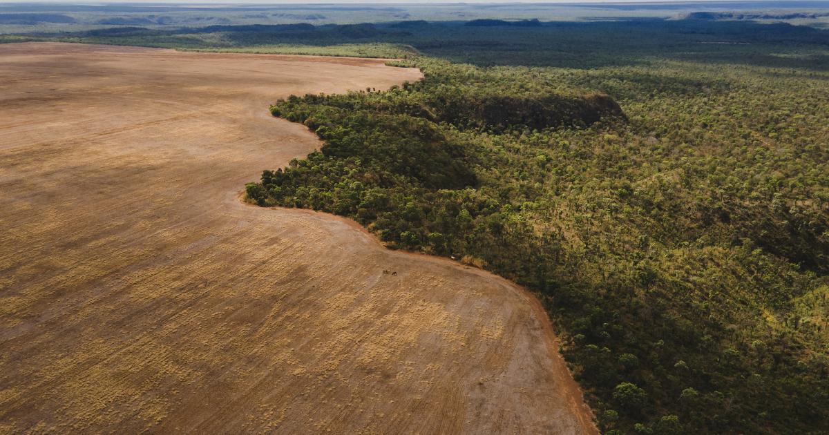 Unlevelling the land