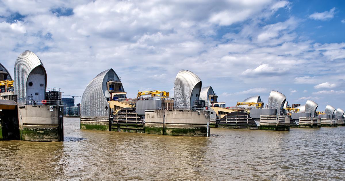 Will green flood defences work?