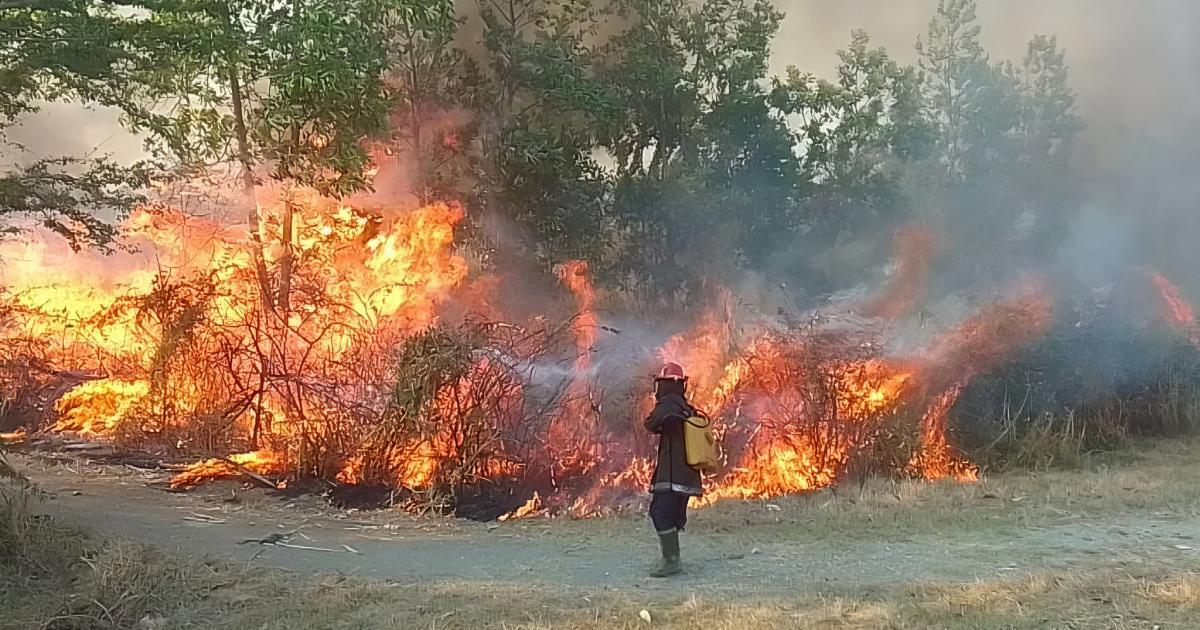 'Crunch time' on climate