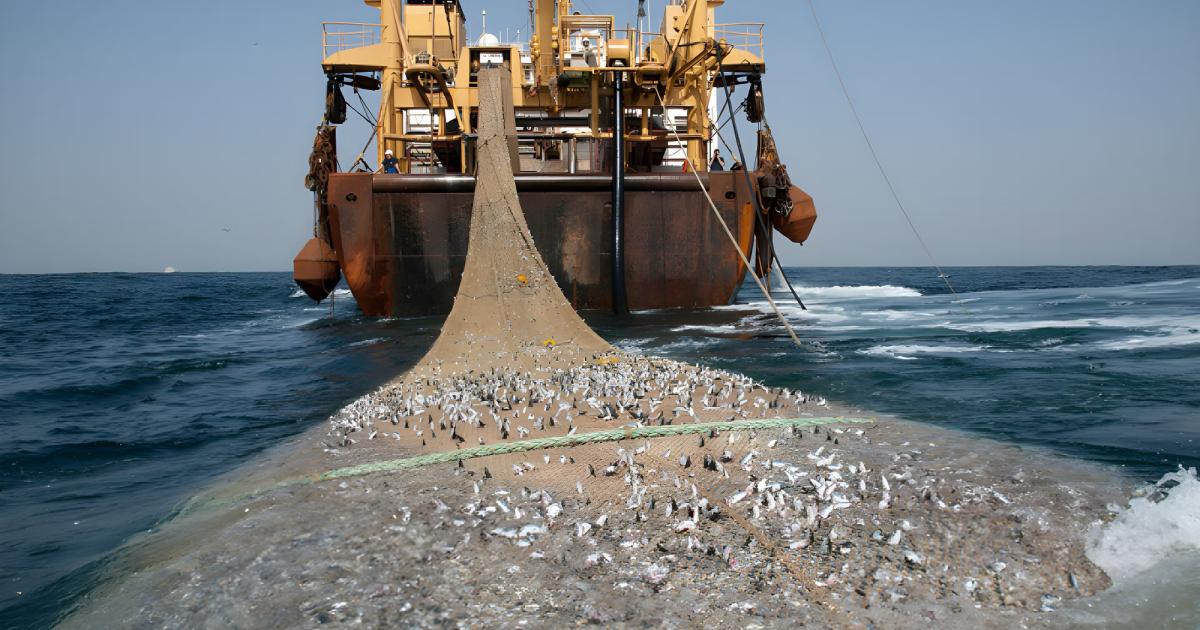 Ban bottom trawling in 'protected' zones