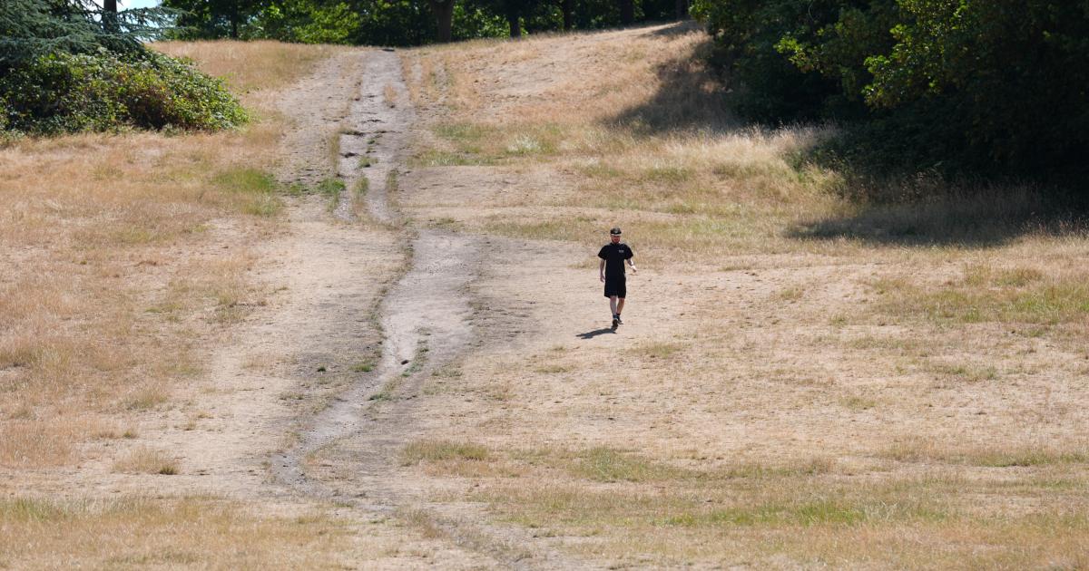 Climate causing heat deaths in Britain