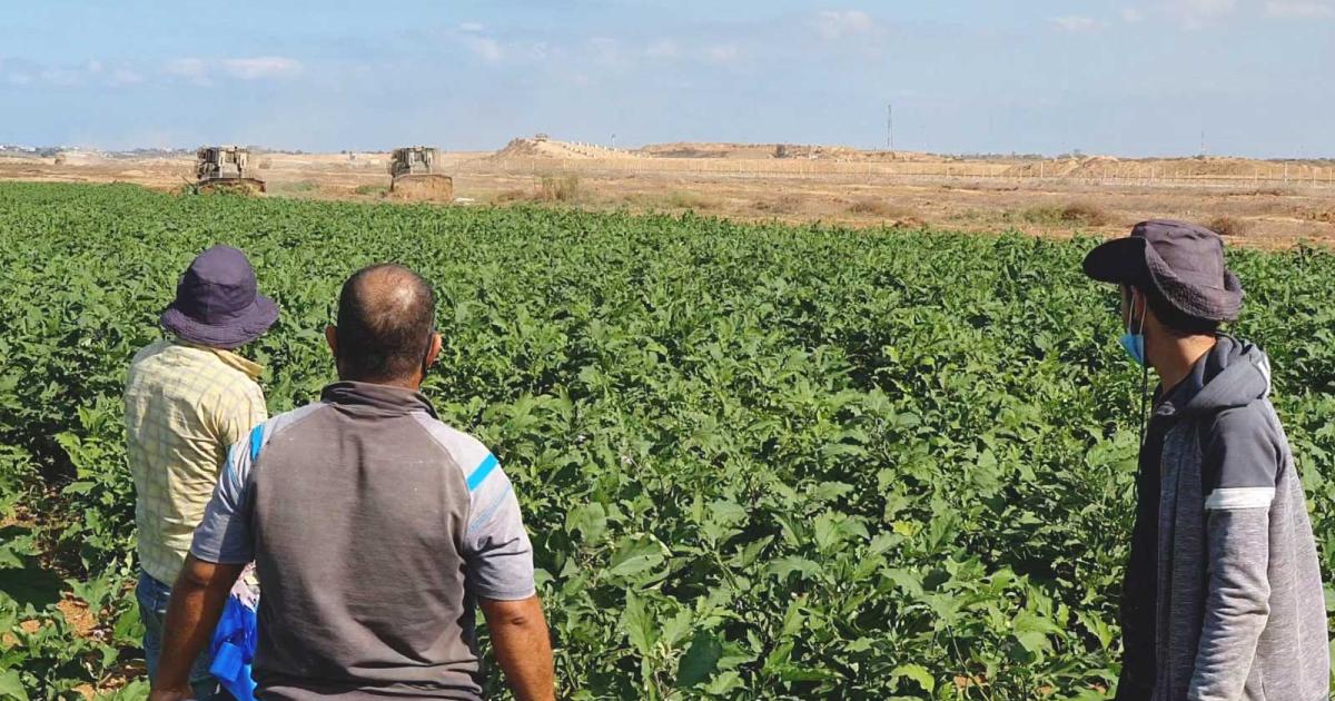 Ecocide and resistance in Palestine