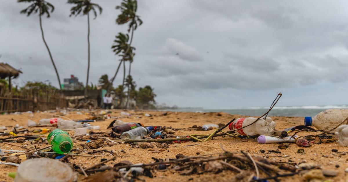 Citizen scientists locate plastic pollution hotspots