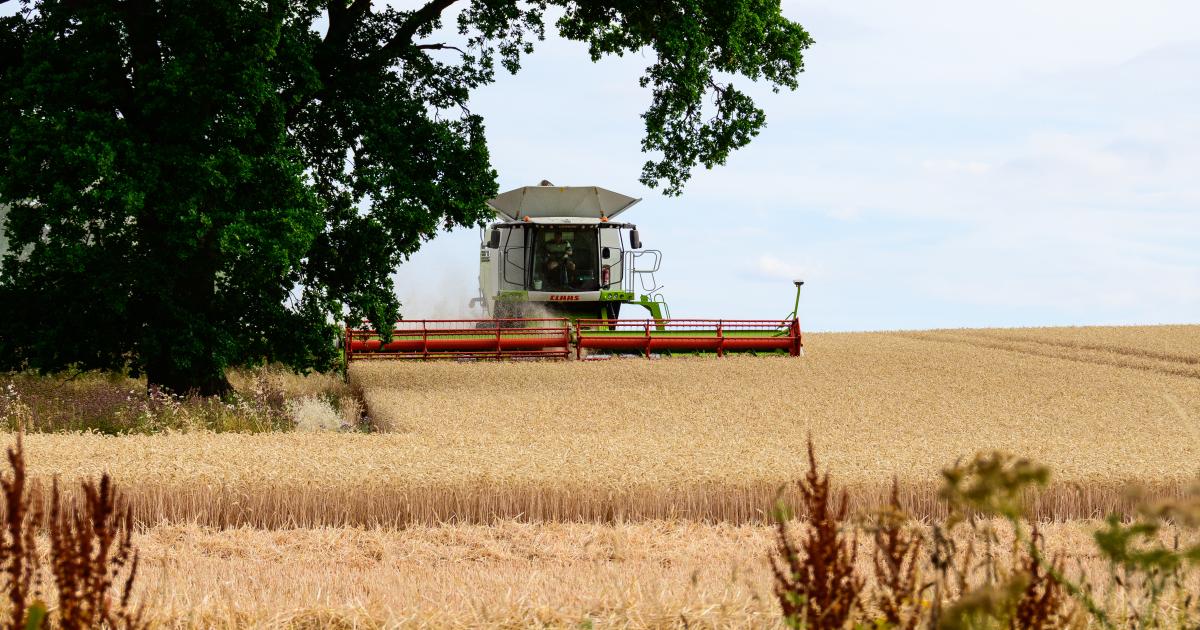 Droughtflation 'is eroding resilience'