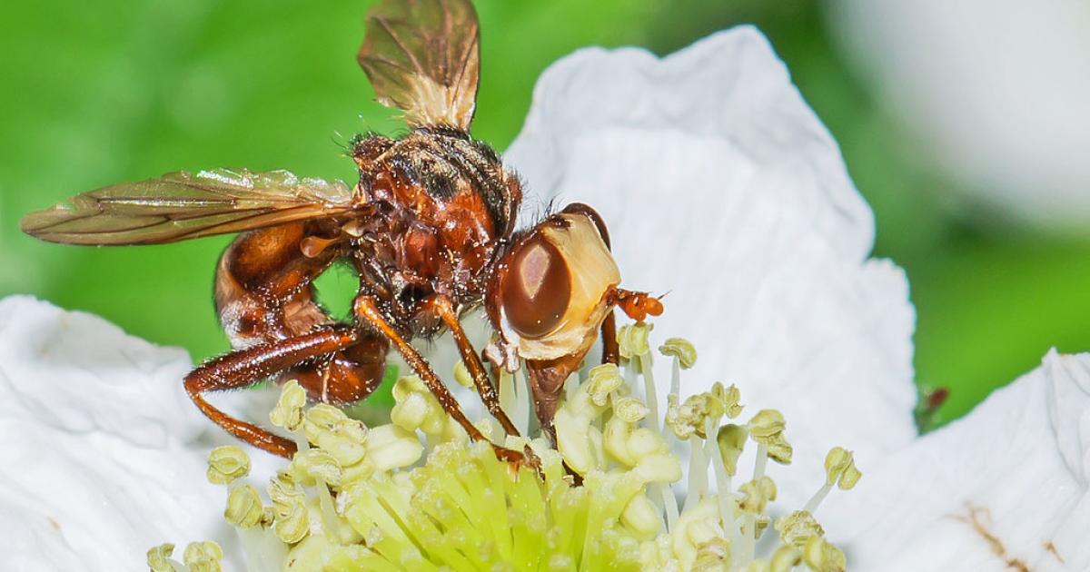 'If ecosystems go, we go'