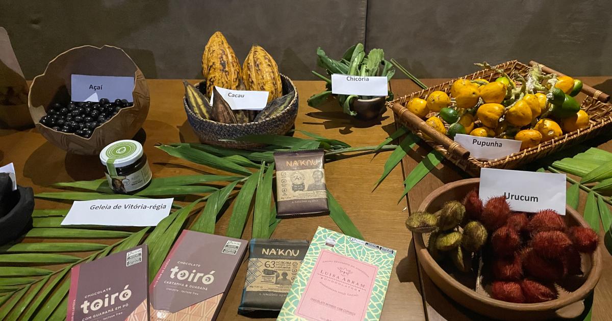 COP30 shines spotlight on sociobioeconomy