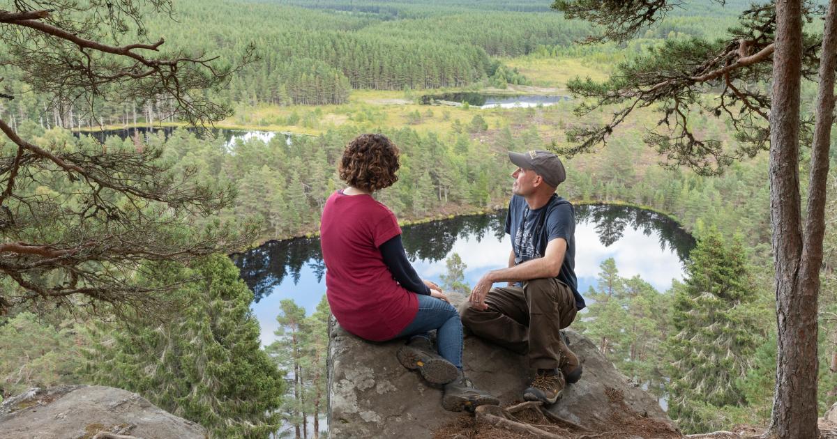 Law 'will incubate' rewilding nation