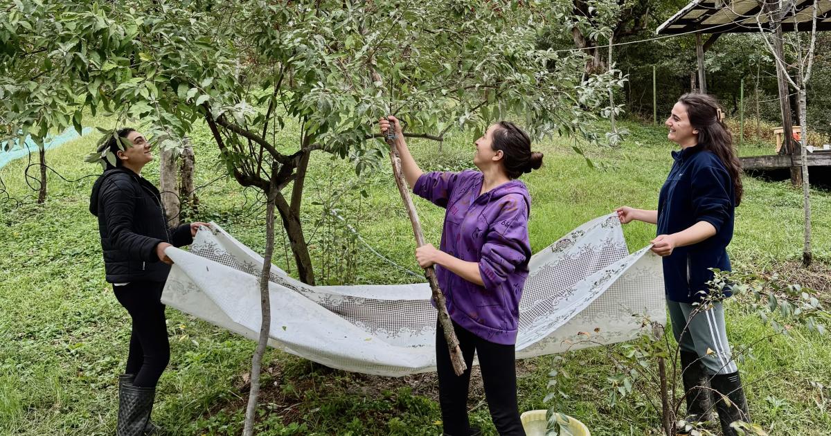 The road less travelled