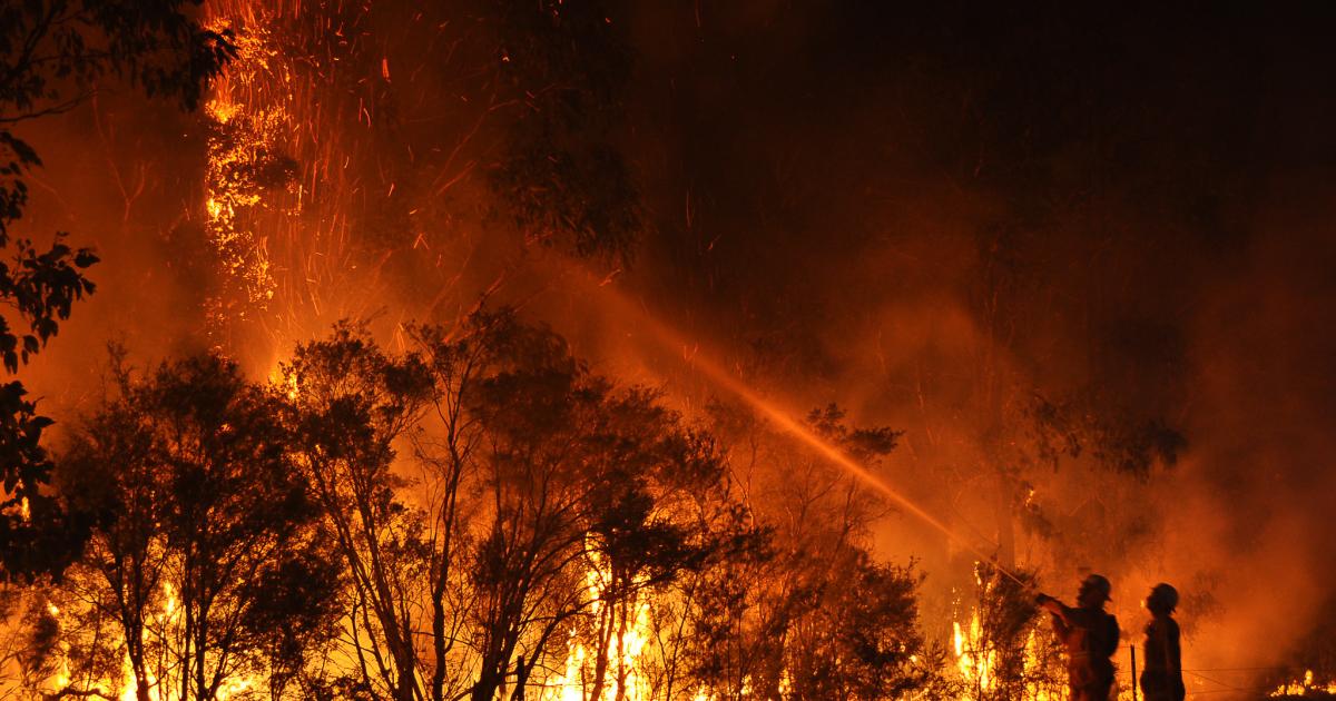 Ofcom 'investing climate denial'