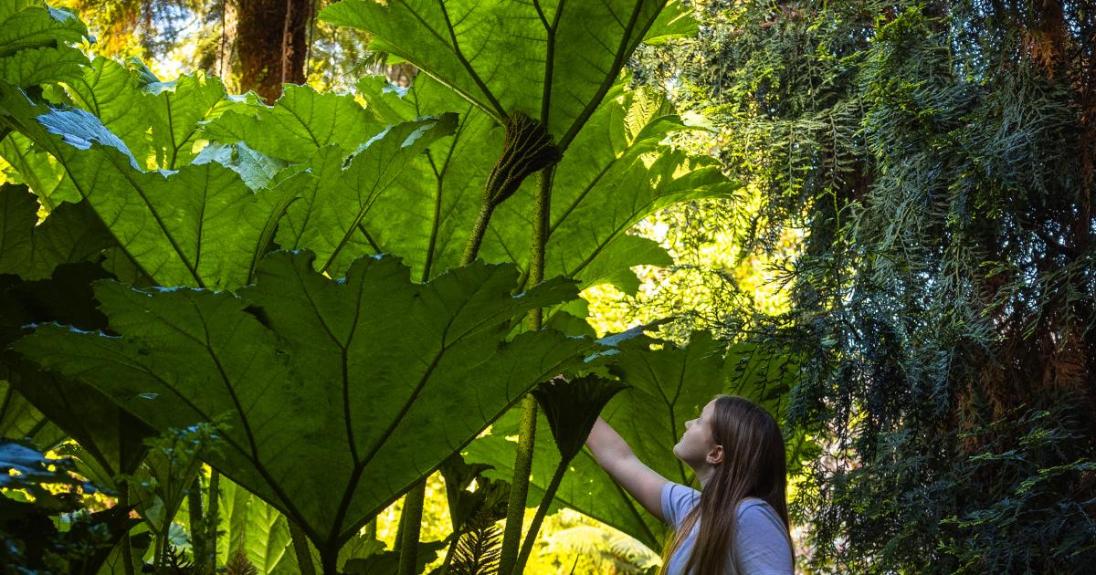 Kids demand natural history lessons