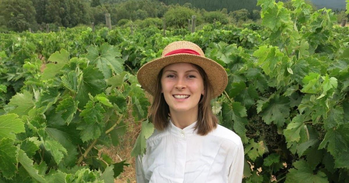 Stories for an emerging food system