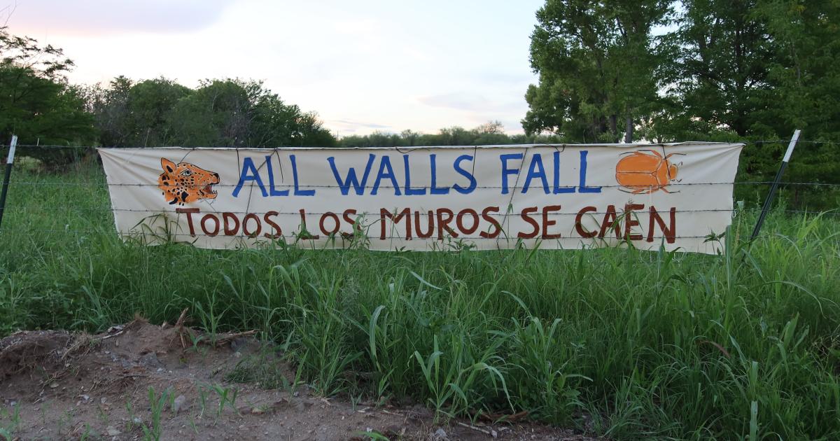 Trees, borders and coalition building