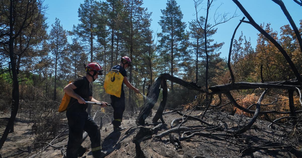 Life after 52 days of wildfire