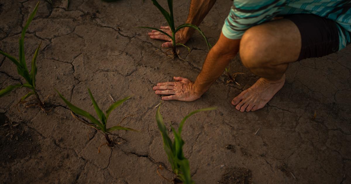 'We poison our soils for efficiency'
