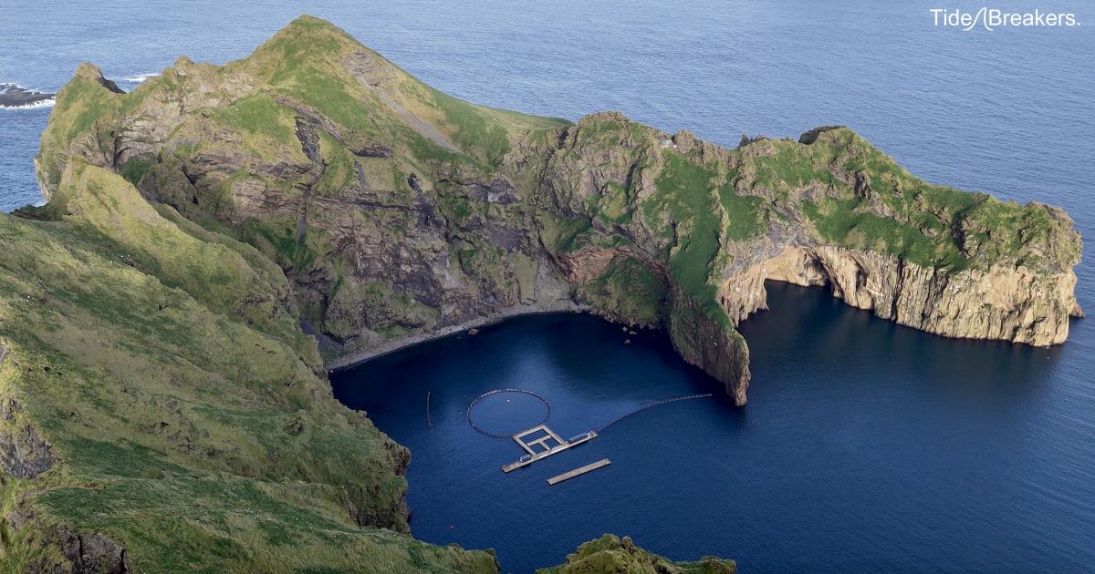 Must whale sanctuary mean the sea?