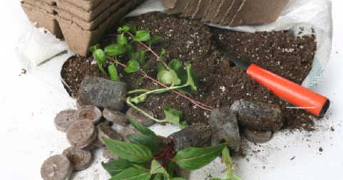 Peat free compost why to use and which to buy