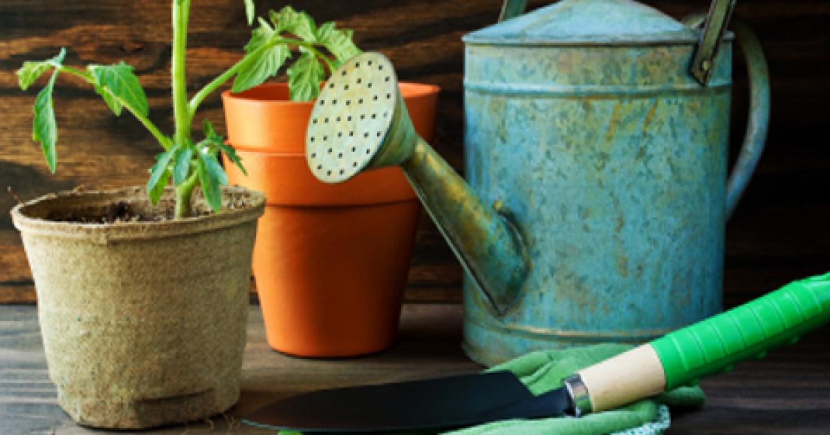 Five of the best…green gardening accessories