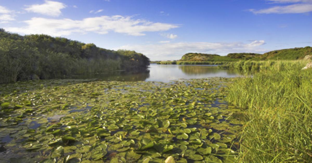 42 years on from Ramsar: what have we achieved?