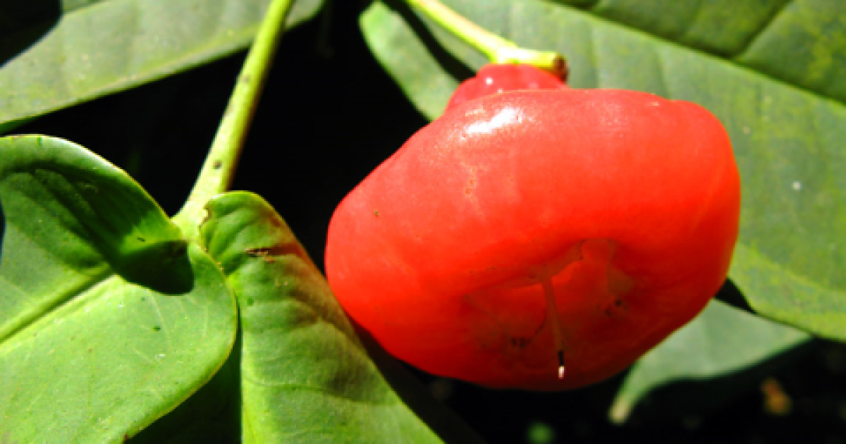 Changing the global food narrative