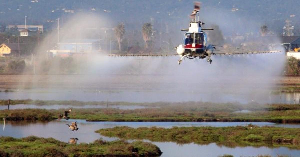 EPA fail: refuses to ban 'brain damage' pesticide