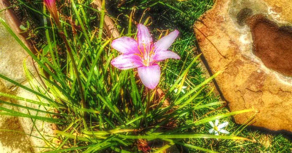 Embracing 'radical hope' in our fight to save the Earth