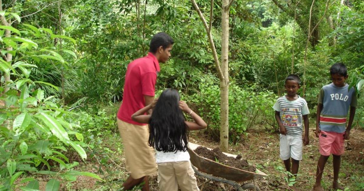 Conserving and popularizing wild fruits in Sri Lanka - the Native ...