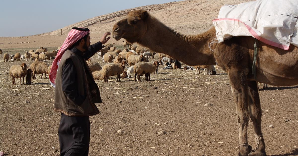 Hima Rangeland Restoration — Zarqa River Basin (Jordan)