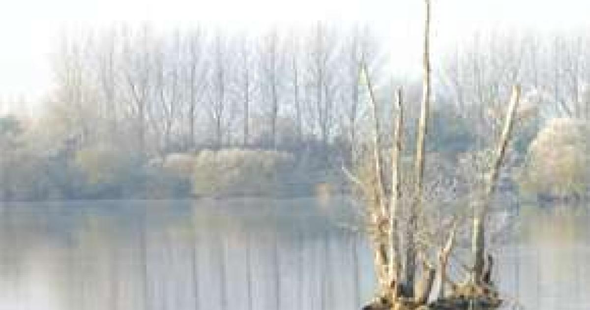 Still Waters Run Deep
