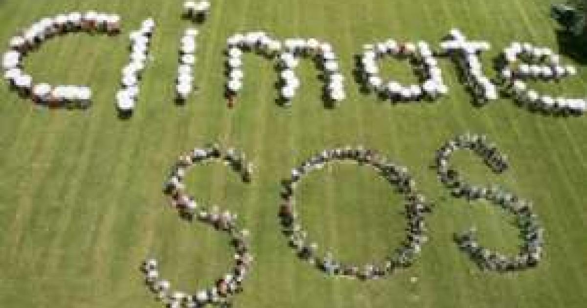 Climate Camp Is Back