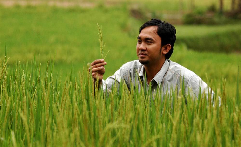 A farmer inspects his organic crop
