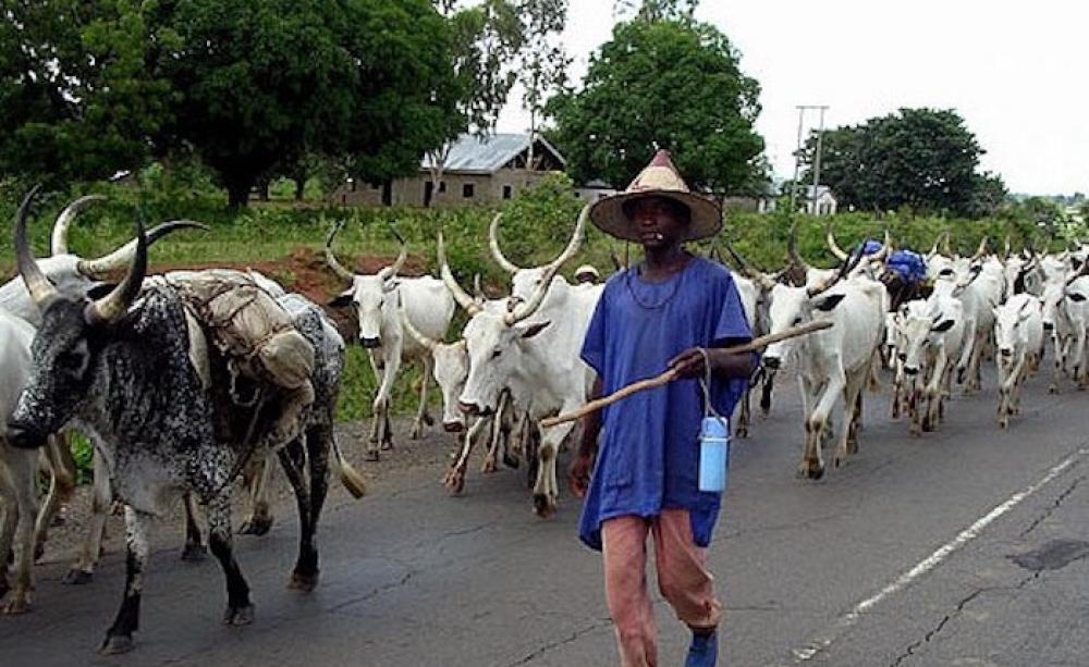 How climate change is provoking clashes between herdsmen and farmers in  Nigeria
