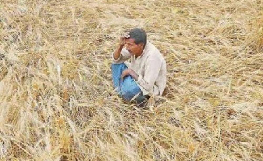Indian farmer