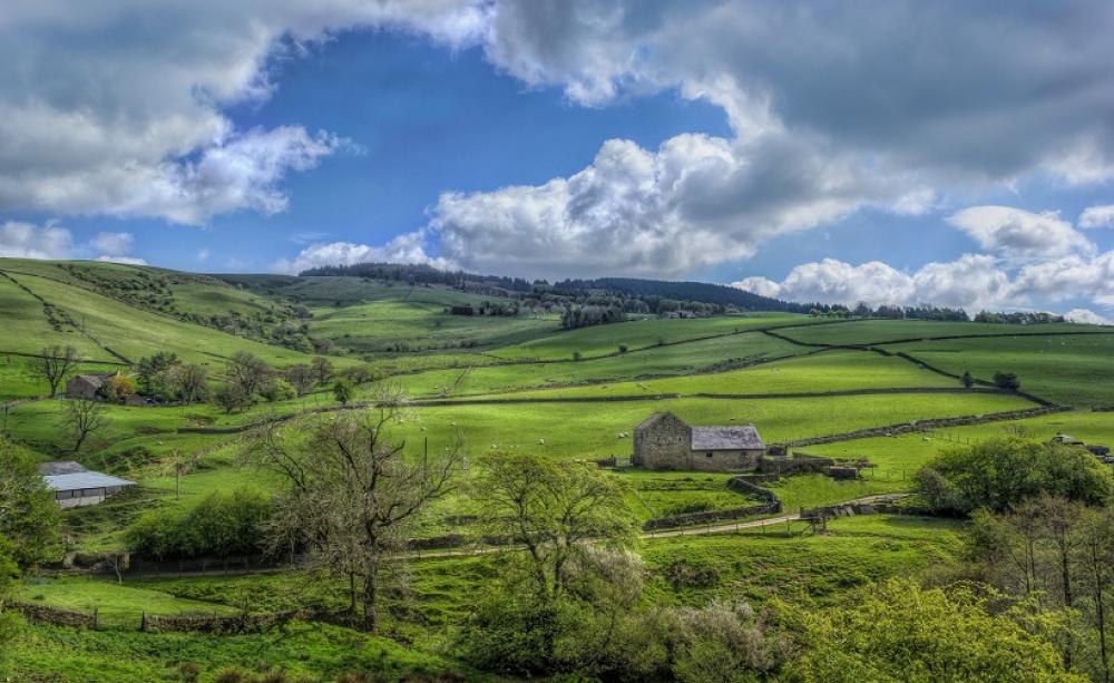 A field