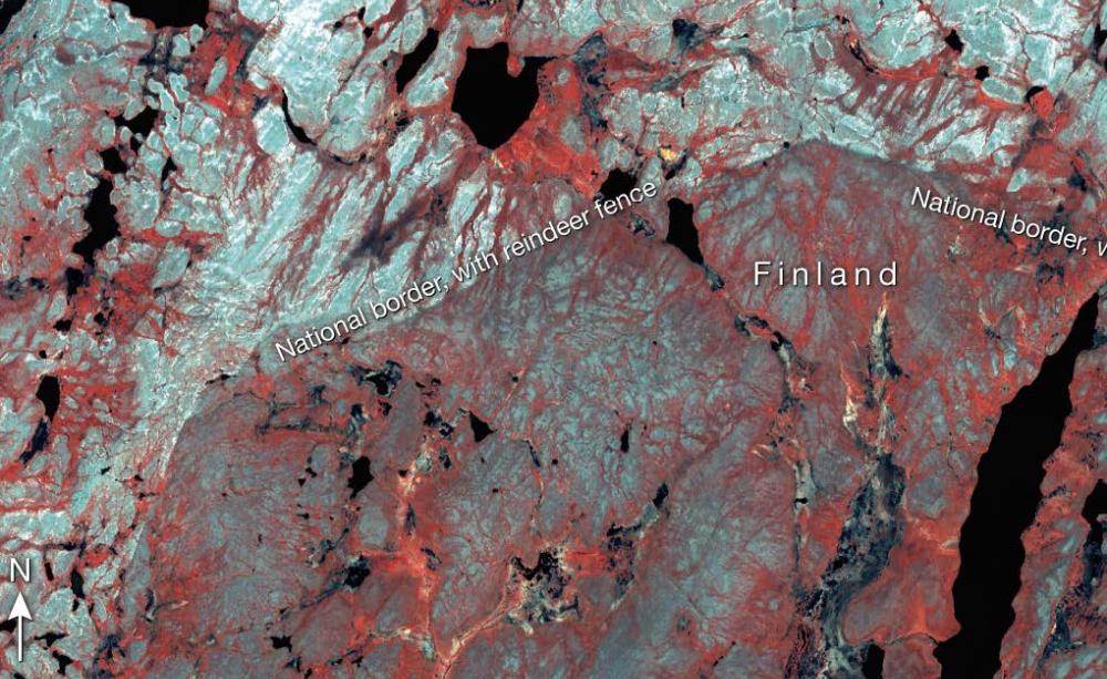A satellite image shows how a decades-old fence erected between Finland and Norway affected Arctic vegetation by altering the movement of reindeer herds.