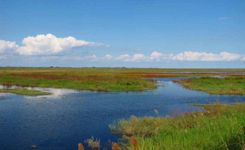 Lake Okeechobee