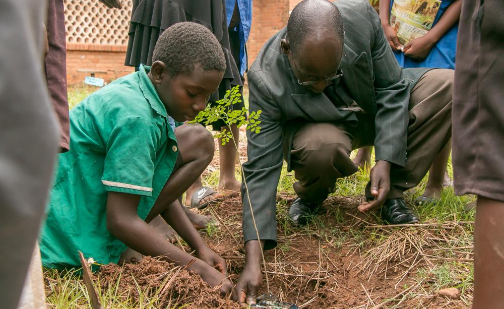 Schoolchild tending to permaculture garden