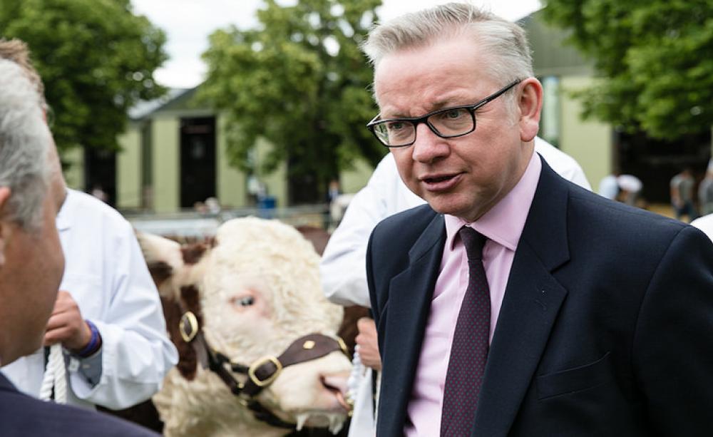 Michael Gove