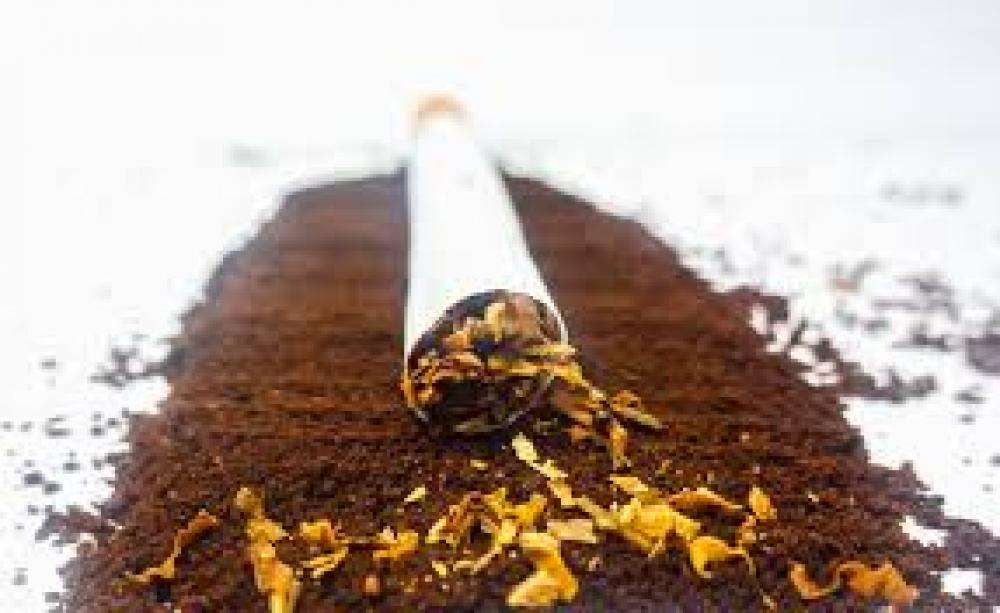 Tobacco